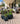Yuca- Set 3 Maceteros-Negro