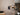 Dark-Aplique 1L Negro-Laton