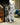 Bulldog Frances-Figura Grande Plata